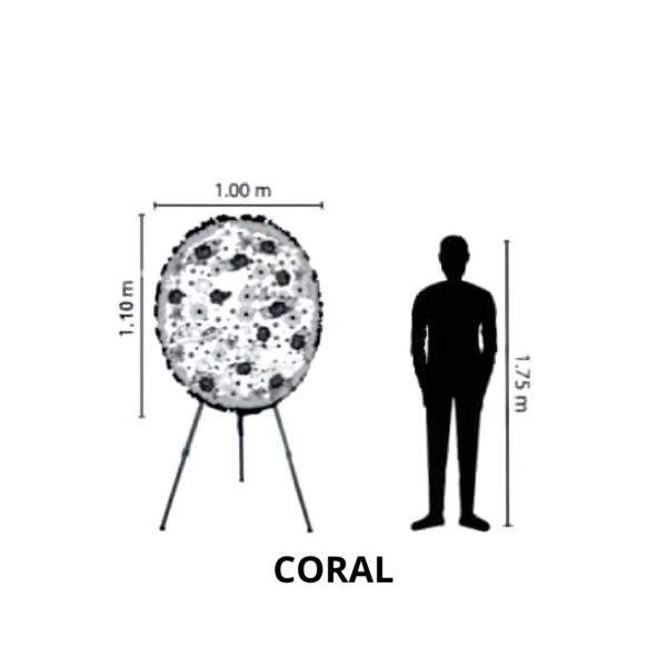 Coral - Image 2